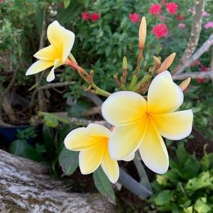 Meet your Posher, Larry